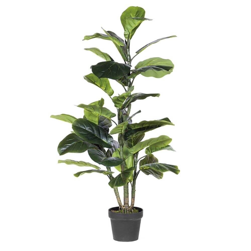 Ficus Artificial 180 cm