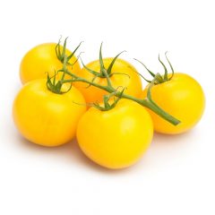 maceta-tomate-amarillo-gran-sol-105-cm-gama-tradicional