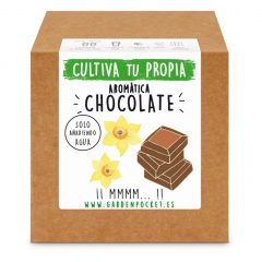 kit-semillas-planta-aromática-chocolate