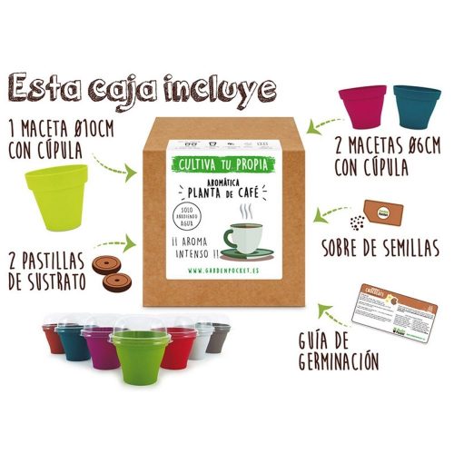 kit-semillas-coffea-arabica-cafe-1