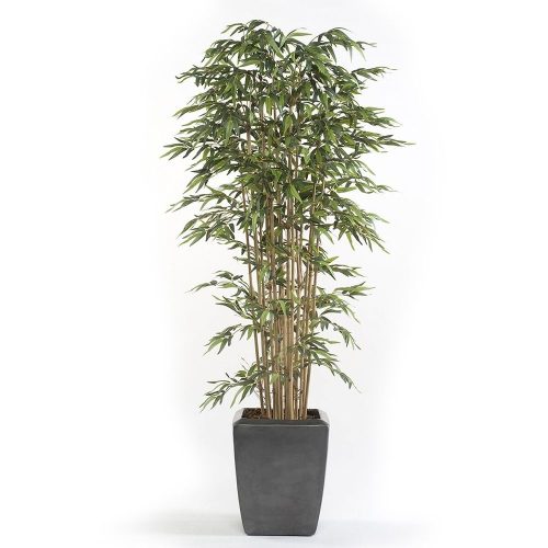 árbol-bambú-deluxe-155cm