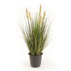 planta-hierba-verde-45cm
